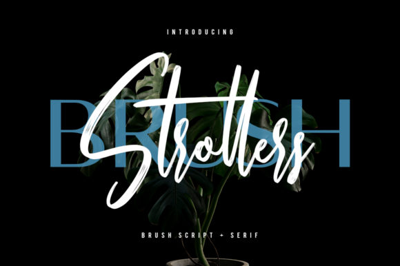 Strollers Font for Web Design
